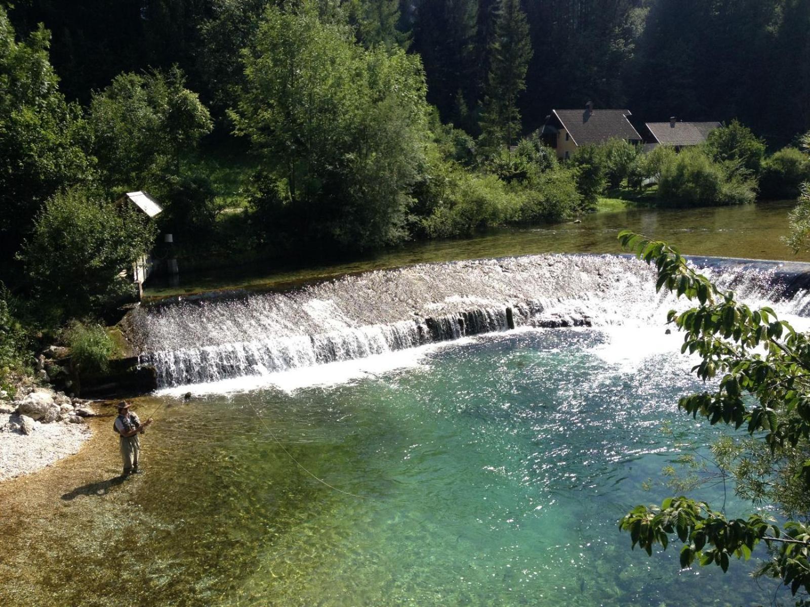 Villa Dei Sogni Bled Exteriör bild
