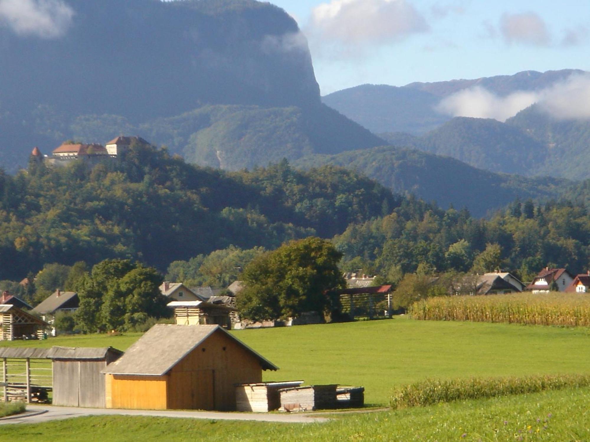 Villa Dei Sogni Bled Exteriör bild